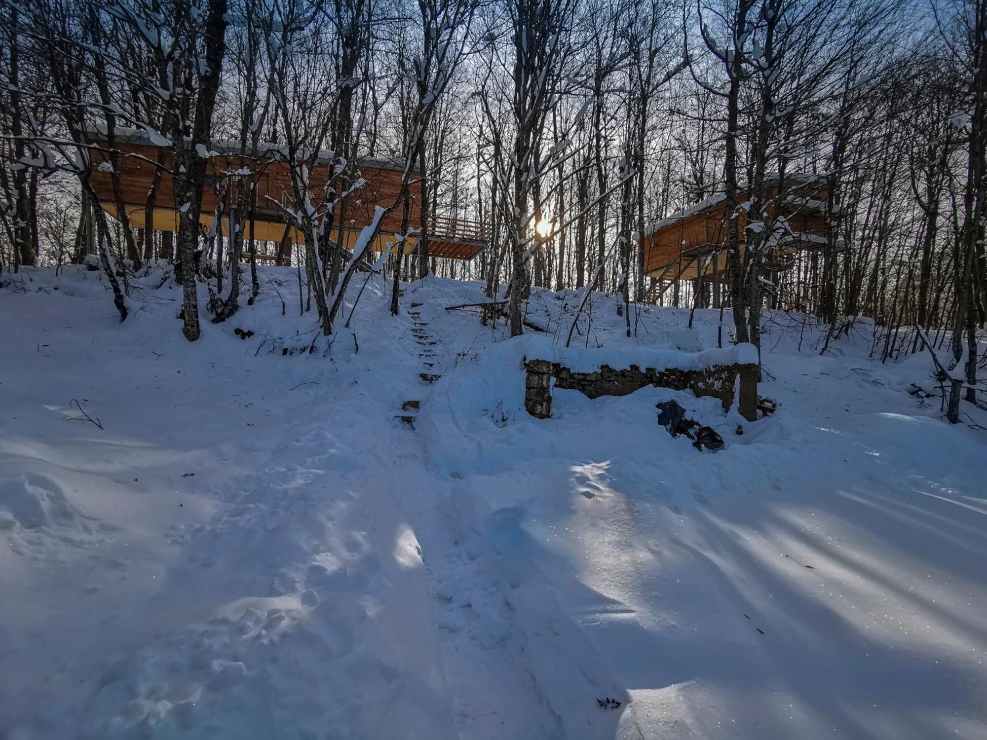 Medak Treehouse Lika 2 빌라 외부 사진